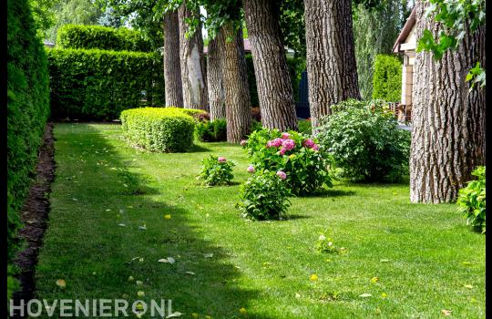 Drieënhuizen Hoveniers in Houten Hovenier.nl