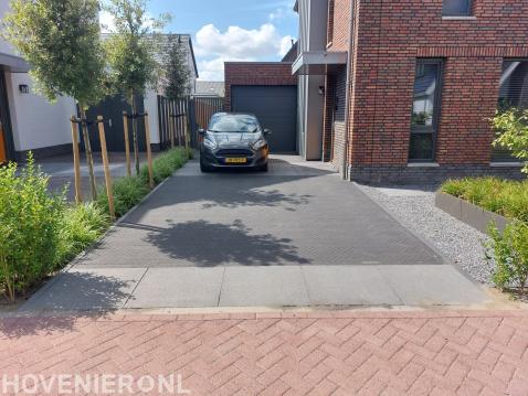 Moderne tuin met overkapping