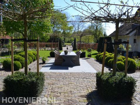 Klassieke tuin met buxusbollen en leibomen bij terras 1