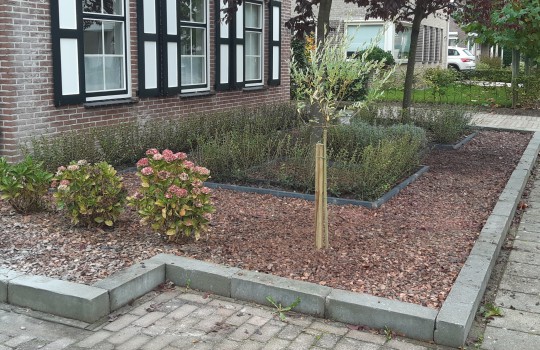 Tuin Advies Zeeland in Kapelle Hovenier.nl