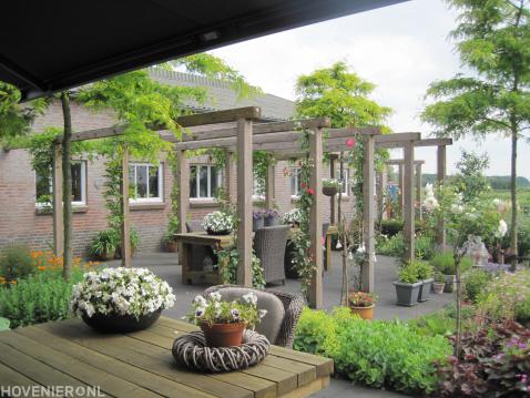 Tuin met grote houten pergola boven terras en veel groen 1