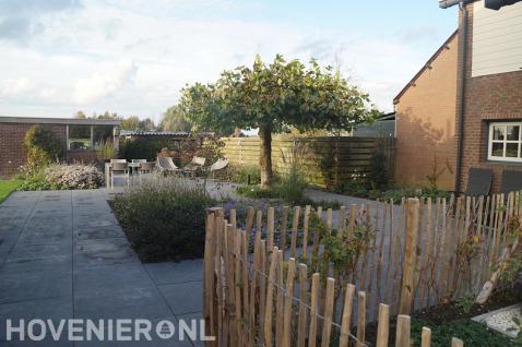 Open tuin met gazon, borders en bestrating van grote betontegels 3