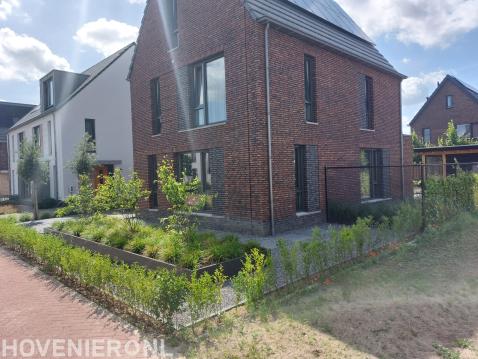 Moderne tuin met overkapping