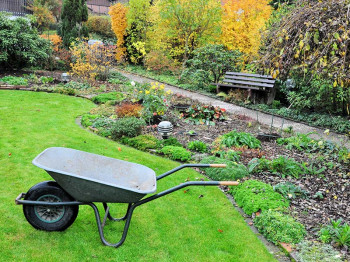 Tuinkalender - tuinonderhoud in oktober