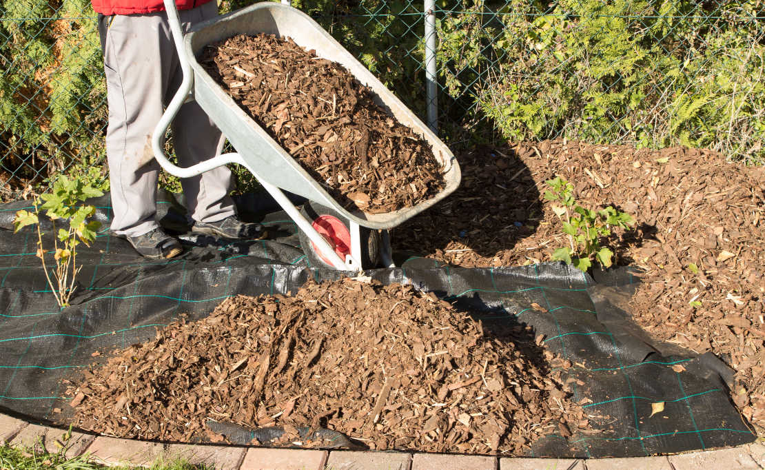 Low budget tuin ideeen